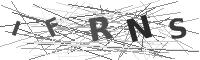 Please refresh your browser to see this image.